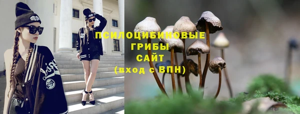 амфетамин Богданович