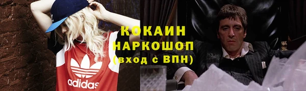 стаф Богородицк