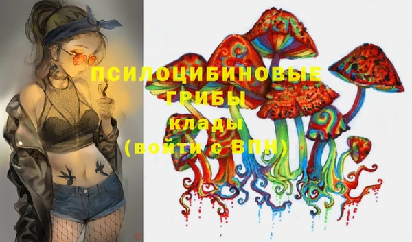 PSILOCYBIN Богородск