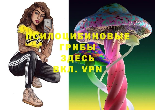 PSILOCYBIN Богородск